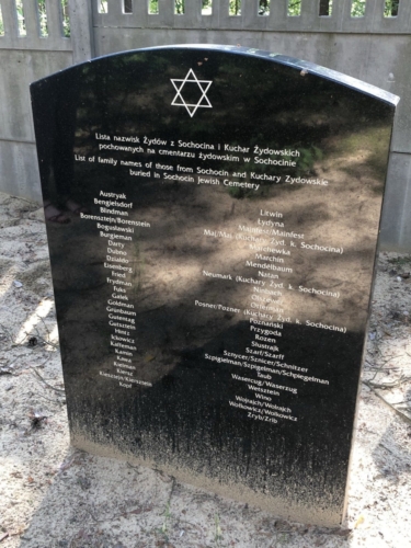 Cmentarz żydowski w Sochocinie. Fotografia: P. Dąbrowski